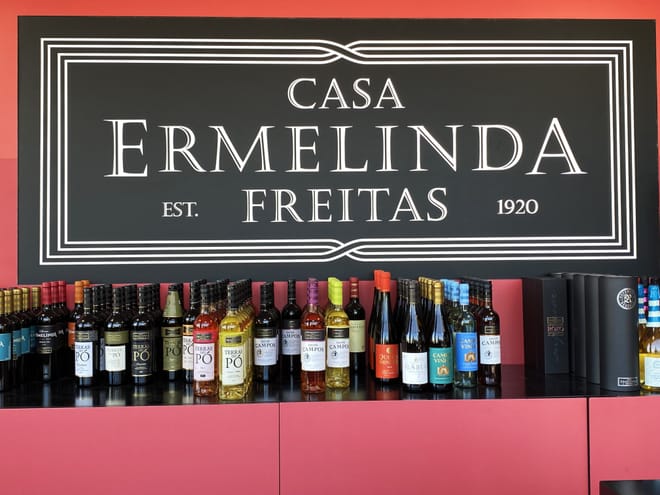 Lisbon's Northern Region Wine Tasting Private Tour 7