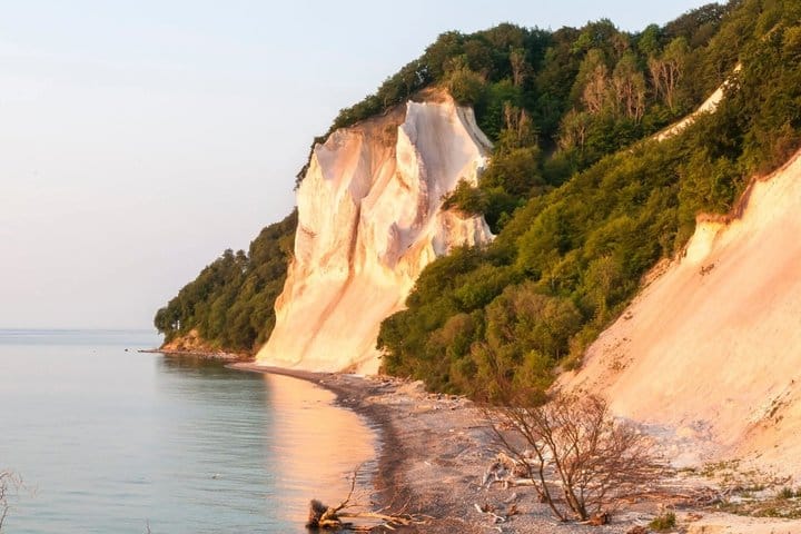 The Forest Tower and Forgotten Giants-A day tour from Copenhagen
