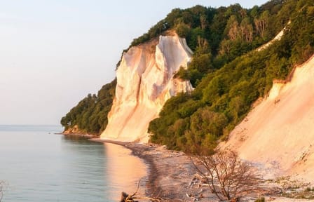 Møns klint and The Forest tower – A day tour from Copenhagen
