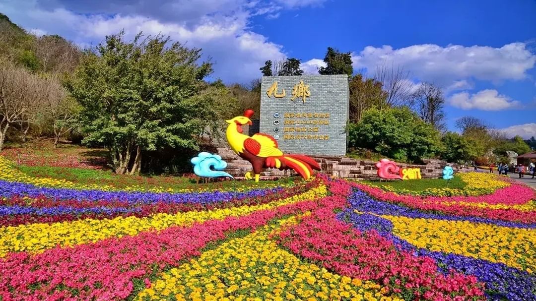 Flowers in the scenic area