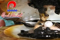Explore Phuket Own Town City Tour  Half Day 10