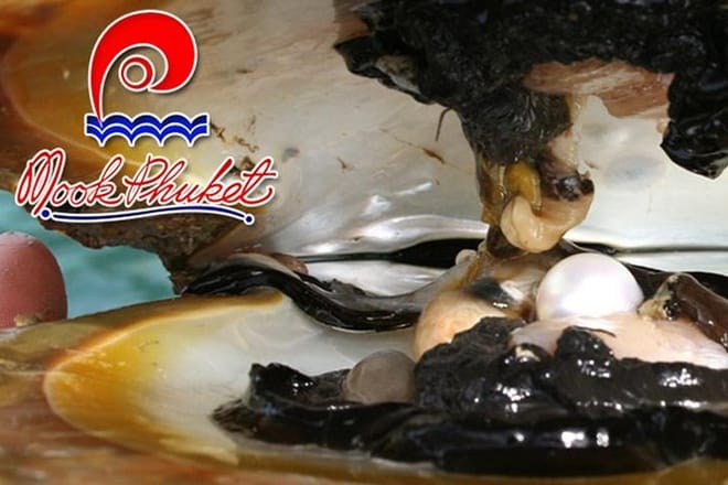 Explore Phuket Own Town City Tour  Half Day 10