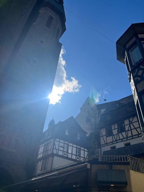 Moselle Valley from Cologne