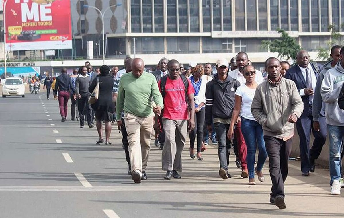 Nairobi Airport Layover to Nairobi Highlight City Guided Tour