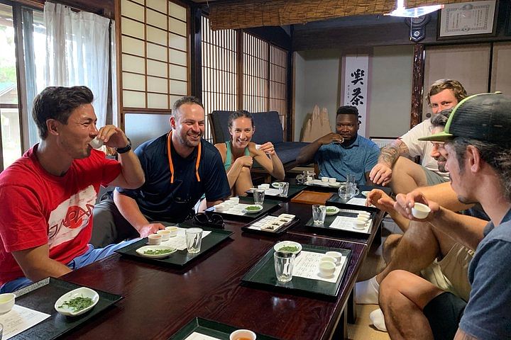 Guided Bike Tour to a Green Tea Farm in Shizuoka (not e-bikes)