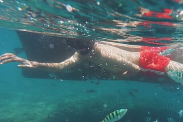 Mnemba Island Dolphins Watching and Snorkeling