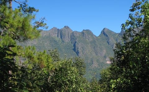Full-Day Mountain Bike Tour in Chiang Dao, Chiang Mai