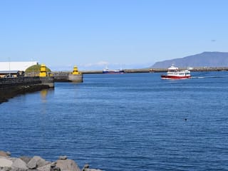 Exclusive Private Reykjavik Walking Tour with Food – Guided by Otto the Viking, photo 7