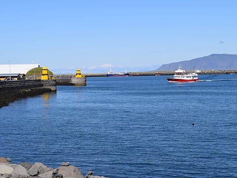 Exclusive Private Reykjavik Walking Tour with Food – Guided by Otto the Viking, photo 7