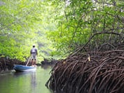 Snorkeling Day Trip & Island Tour to Nusa Lembongan & Penida 5