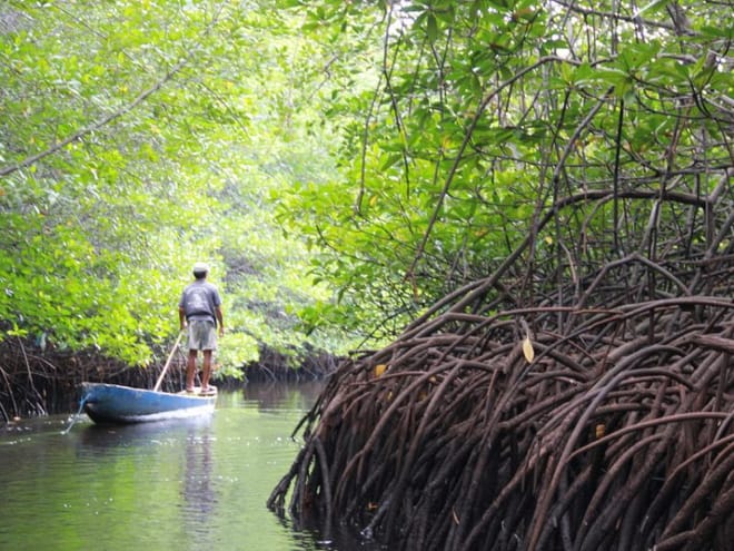 Snorkeling Day Trip & Island Tour to Nusa Lembongan & Penida photo 5