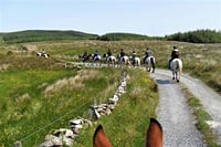 Horse riding the mountain trail. Clare. Guided, 2 hours 8