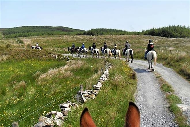 Horse riding the mountain trail. Clare. Guided, 2 hours 8