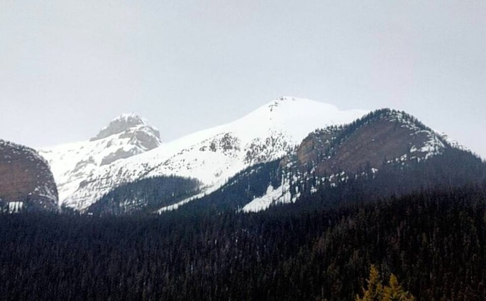 Winter Icewalk Tour in Banff National Park and Lake Louise