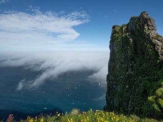 King and Queen of Cliffs - Hornstrandir Hike, photo 11