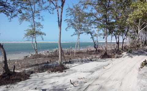 7-Day ATV Adventure from São Luis to Fortaleza