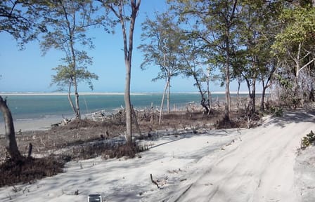 7-Day ATV Adventure from São Luis to Fortaleza