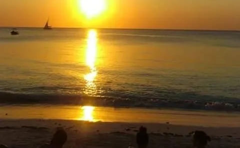 Pemba Island Sunset Dhow Cruise