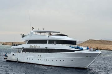 Ras Mohamed & White Island Snorkeling Cruise from Sharm El Sheikh
