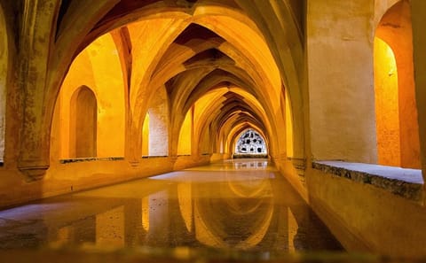 Seville Highlights Tour: Explore Cathedral, Alcazar, Plaza de España