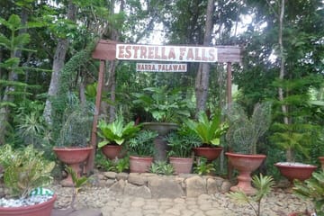 Private Day Tour to Estrella Falls from Puerto Princesa