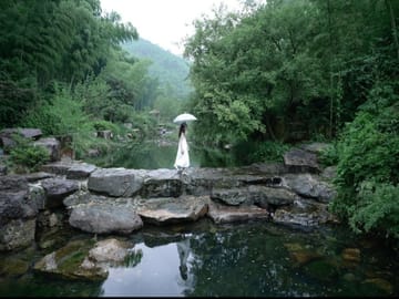 Shanghai: Yixing Bamboo Sea & Zisha Teapot Cultural Trip