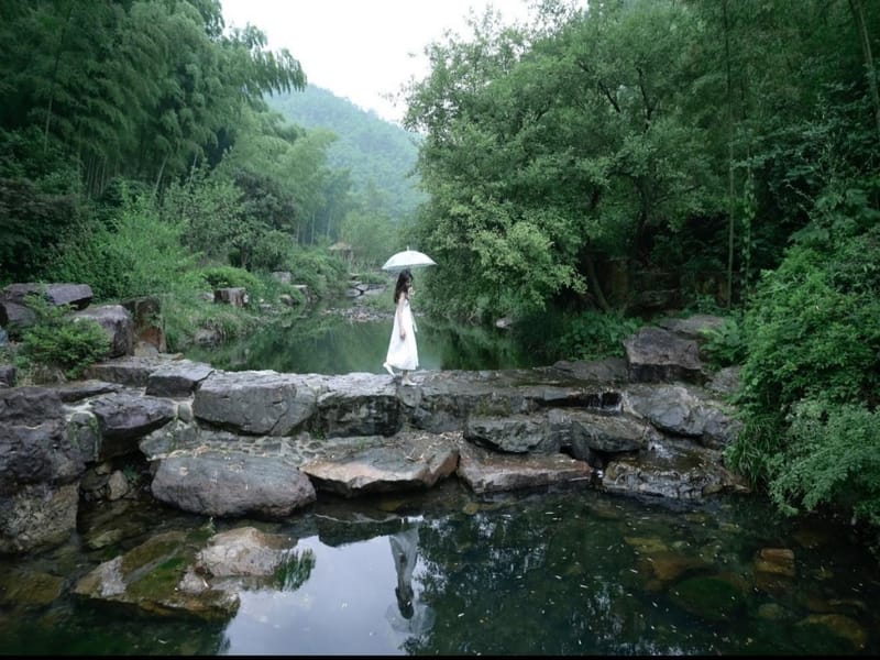 Shanghai: Yixing Bamboo Sea & Zisha Teapot Cultural Trip