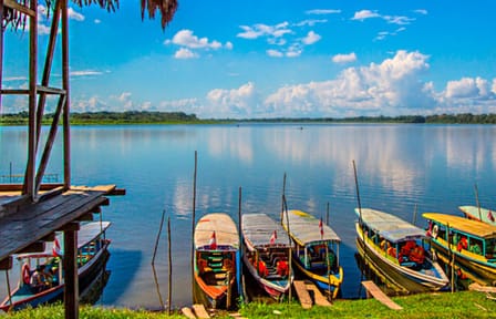 Explore Yarinococha Lake and Pink Dolphins in Pucallpa
