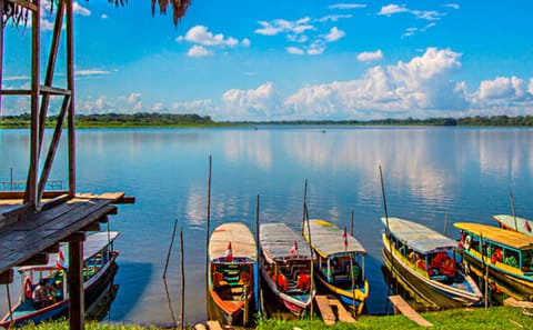 Explore Yarinococha Lake and Pink Dolphins in Pucallpa