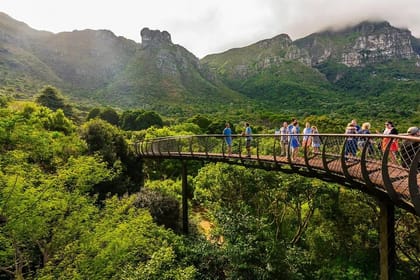 Cape Town Table Mountain, Kirstenbosch, and Constantia Tour