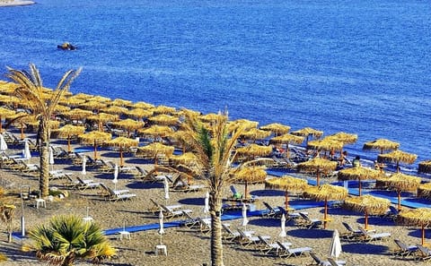 Explore Akrotiri and Moni Profitou Iliou in Santorini