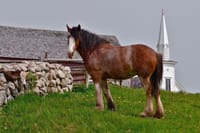 Highland Village