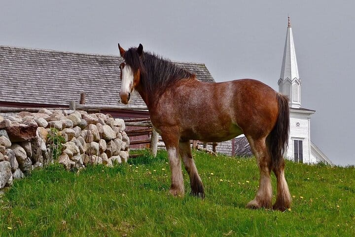 Highland Village