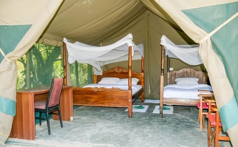 3 Day Maasai Mara Shared Safari In a Land Cruiser