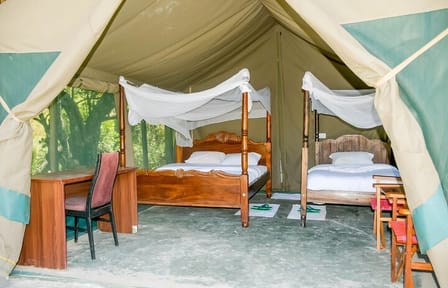 3 Day Maasai Mara Shared Safari In a Land Cruiser