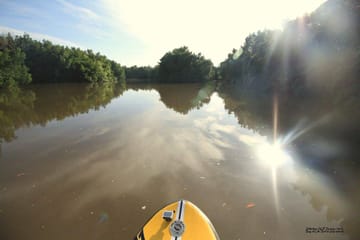 Madu River Boat Safari Tour in Colombo, Sri Lanka