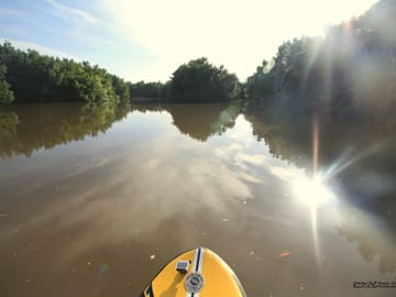 Madu River Boat Safari Tour in Colombo, Sri Lanka