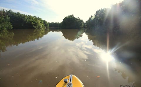 Madu River Boat Safari Tour in Colombo, Sri Lanka