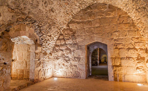 Private Day Tour to Ajloun Castle from Dead Sea with Hiking Option