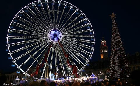 Lille 3-Hour Walking Tour of Christmas Market and Culture