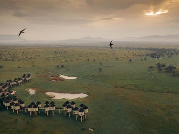 Overnight Private Safari Saltlick Lodge From Mombasa Diani