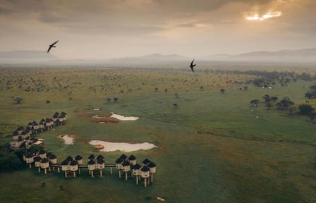 Overnight Private Safari Saltlick Lodge From Mombasa Diani