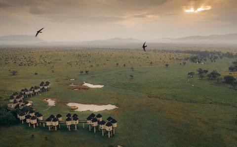 Overnight Private Safari Saltlick Lodge From Mombasa Diani