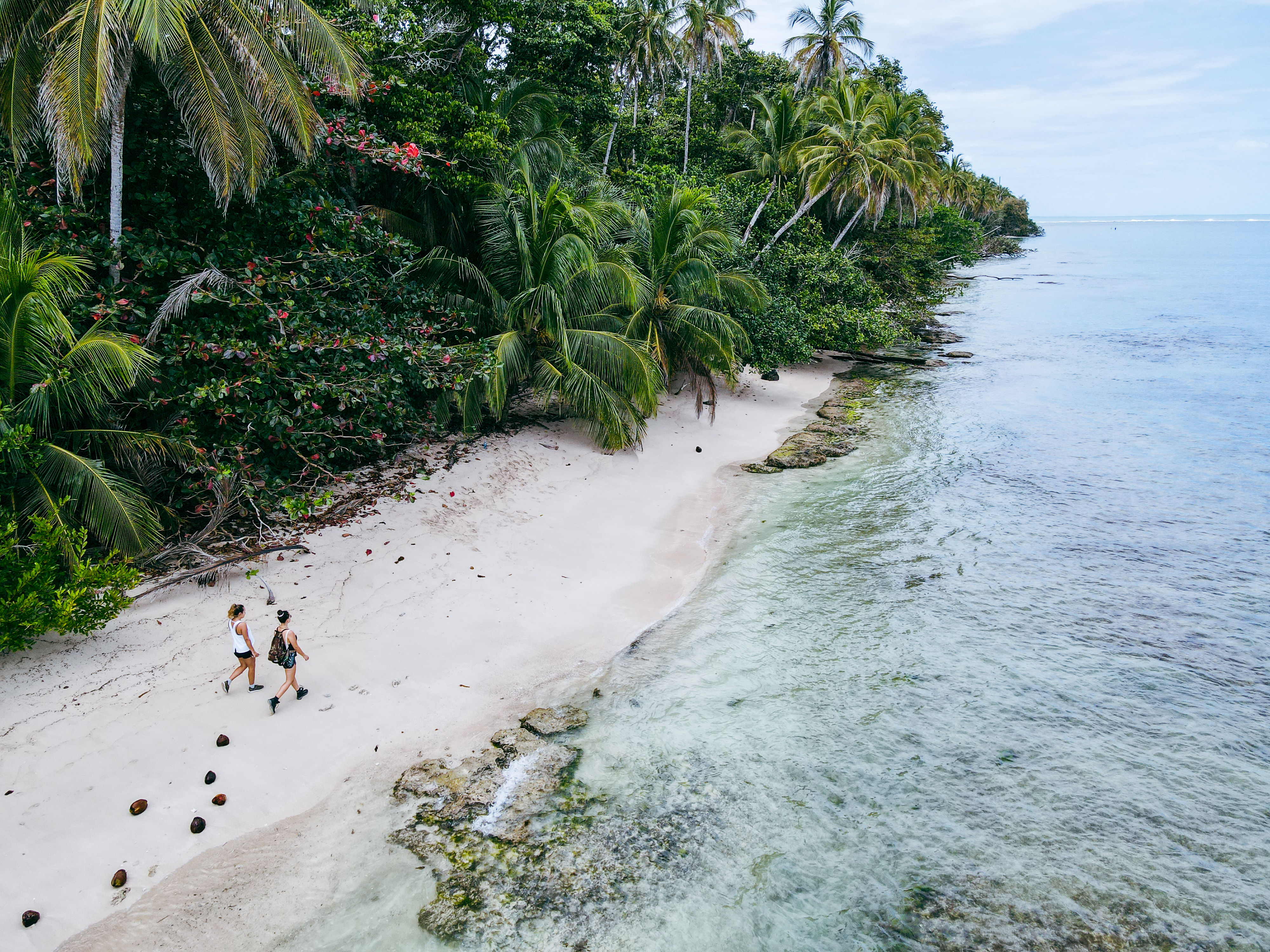 Hiking in Cahuita National Park