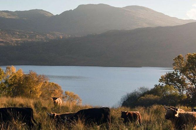SL-ES Glasgow, Loch Lomond and Loch Katrine - Spanish Tour Guide