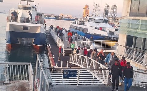Robben Island Half-Day Tour from Cape Town with Hotel Pickup