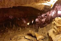 Full-Day Mallorca Caves Tour: Drach, Hams & Pearl Factory Visit 10