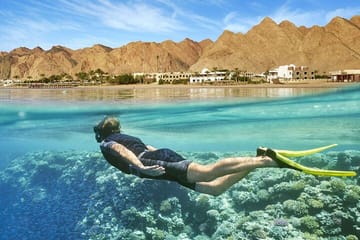 Spend the day snorkeling