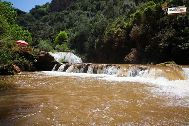 Ouzoud Waterfalls Full-Day Group Tour from Marrakech 5
