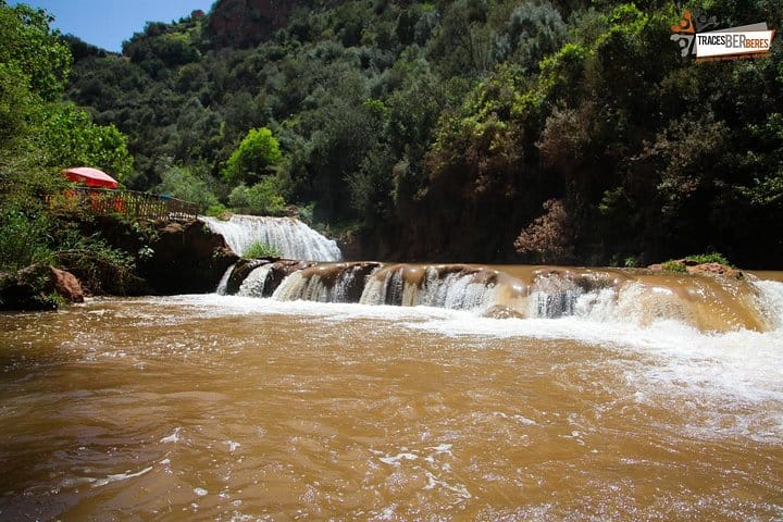 Ouzoud Waterfalls Full-Day Group Tour from Marrakech 5